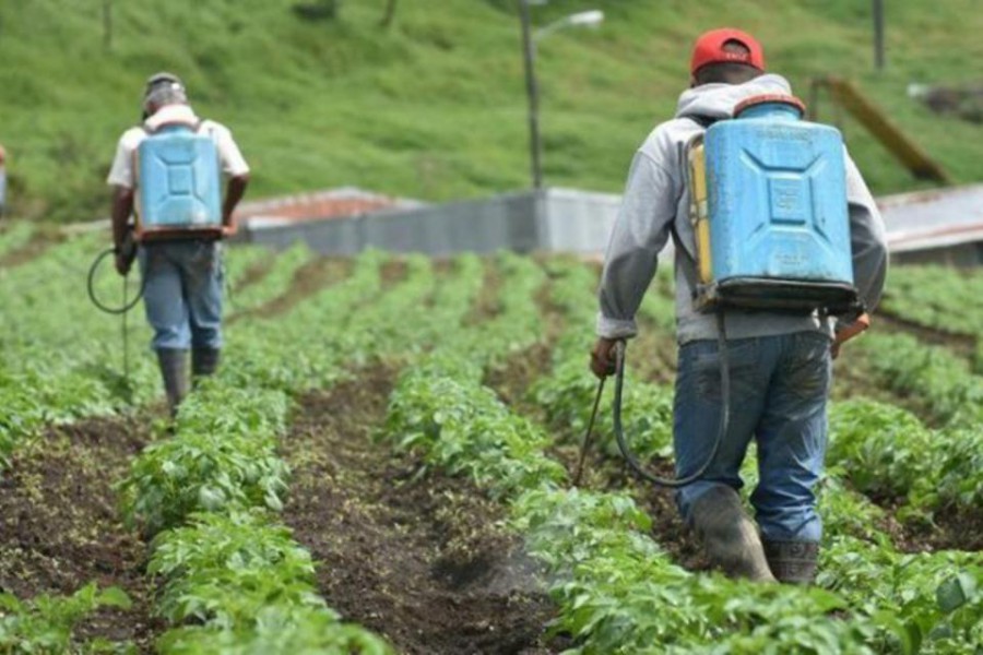 El Faro | Uso y manejo responsable de agroquímicos, una prioridad en la ...